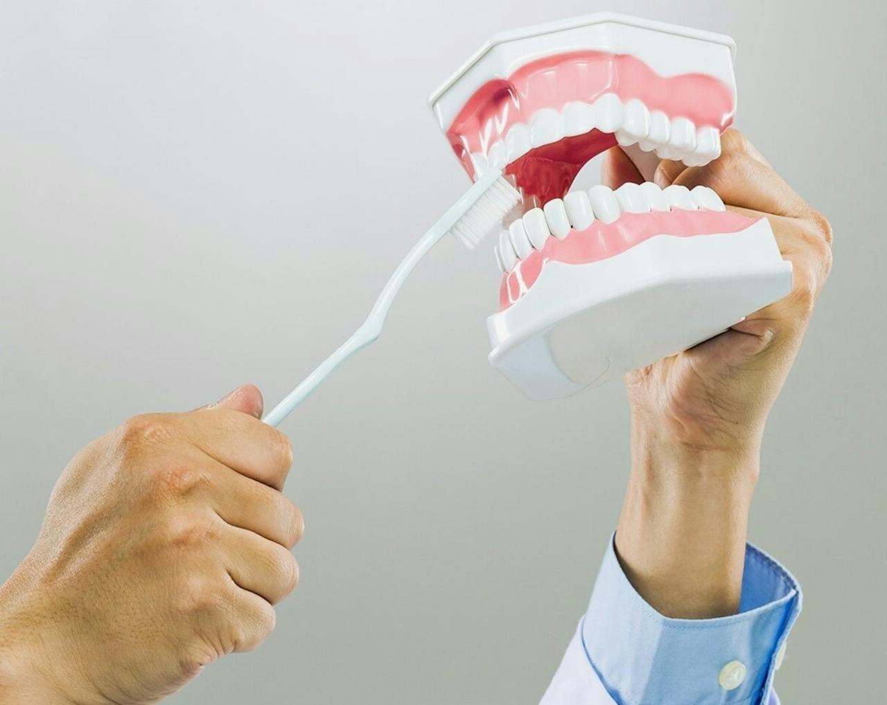 The Art of Drawing Readers In: Your attractive post title goes here Close-up of hands demonstrating brushing on dental model for dentistry education.